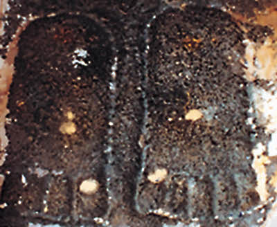 Foot prints of Nami   Vinami
